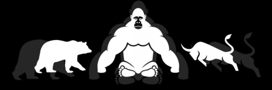 JTApeMoon's profile banner image
