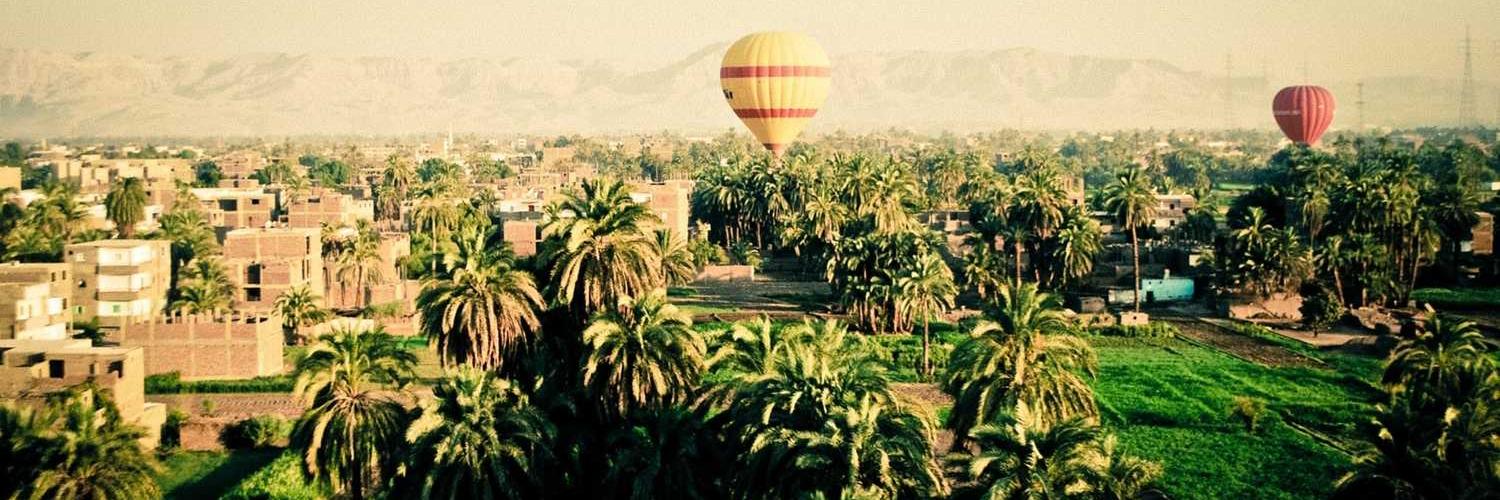 flyingfish888 | ETHGas ⛽ banner