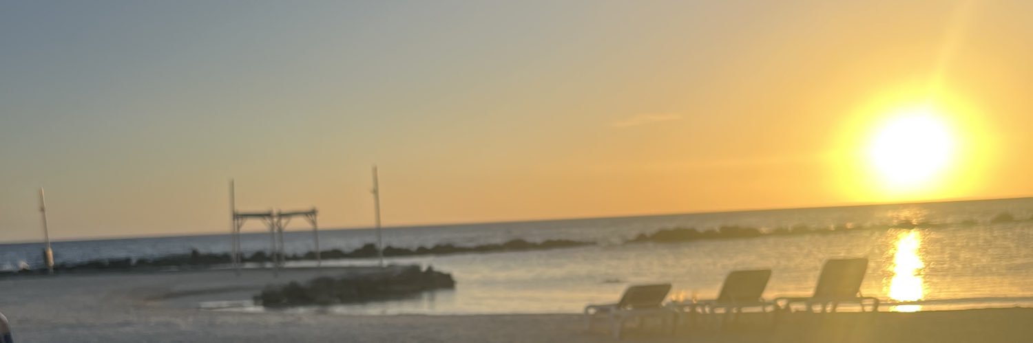 TLarouere's profile banner image