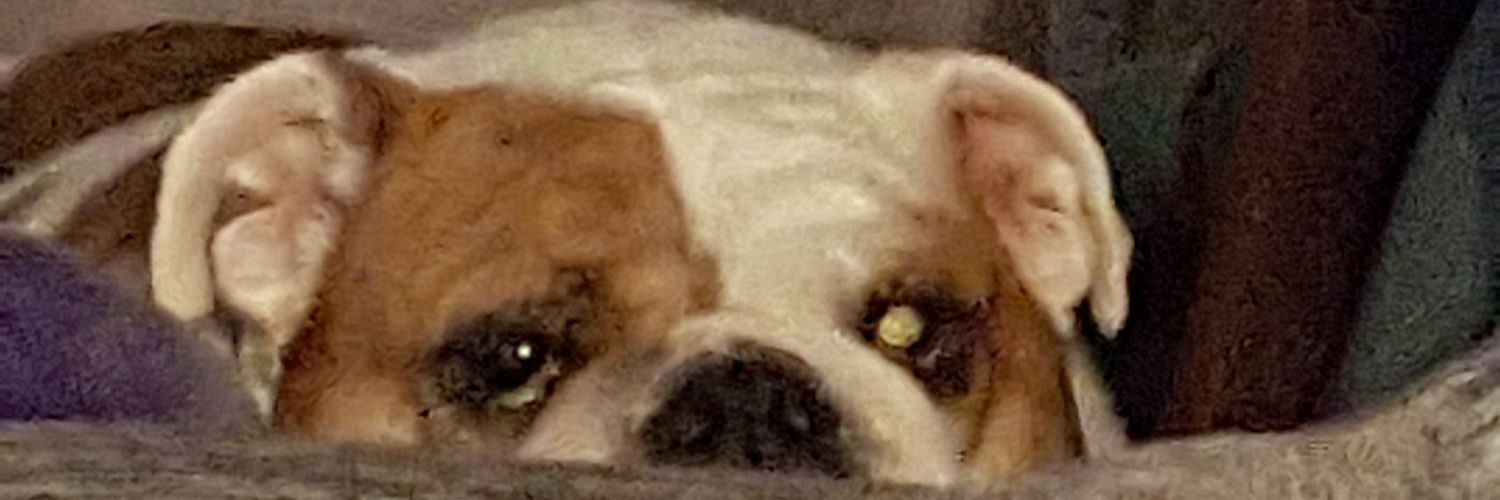 ARob_NY's profile banner image