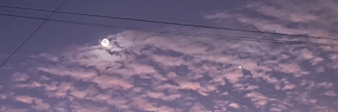 うるる/相場戦士 banner