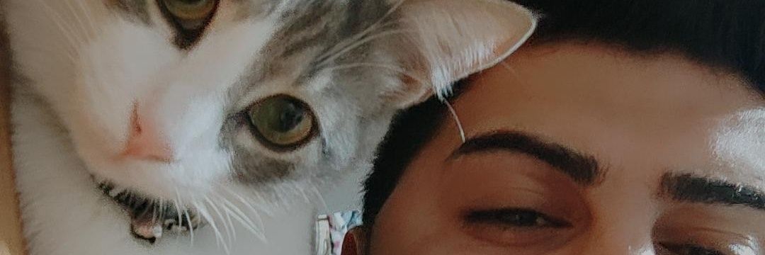 erhanblci's profile banner image