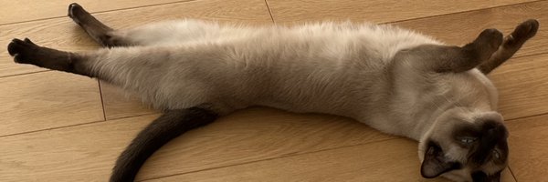 yusukeokawa Profile Banner