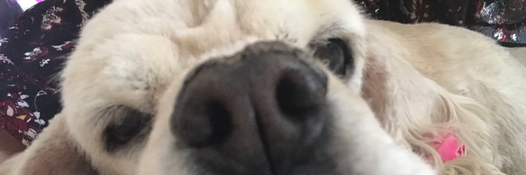 k_kt511's profile banner image
