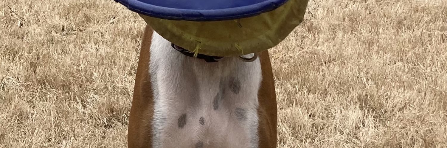 Frank Epstein banner