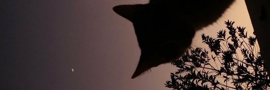 AyraMessi's profile banner image