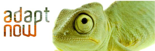 lsilvis Profile Banner