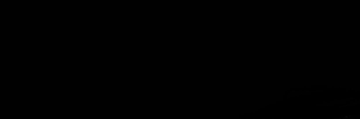 Caleb Hayes banner