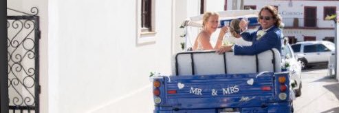 Allison Nicholson banner