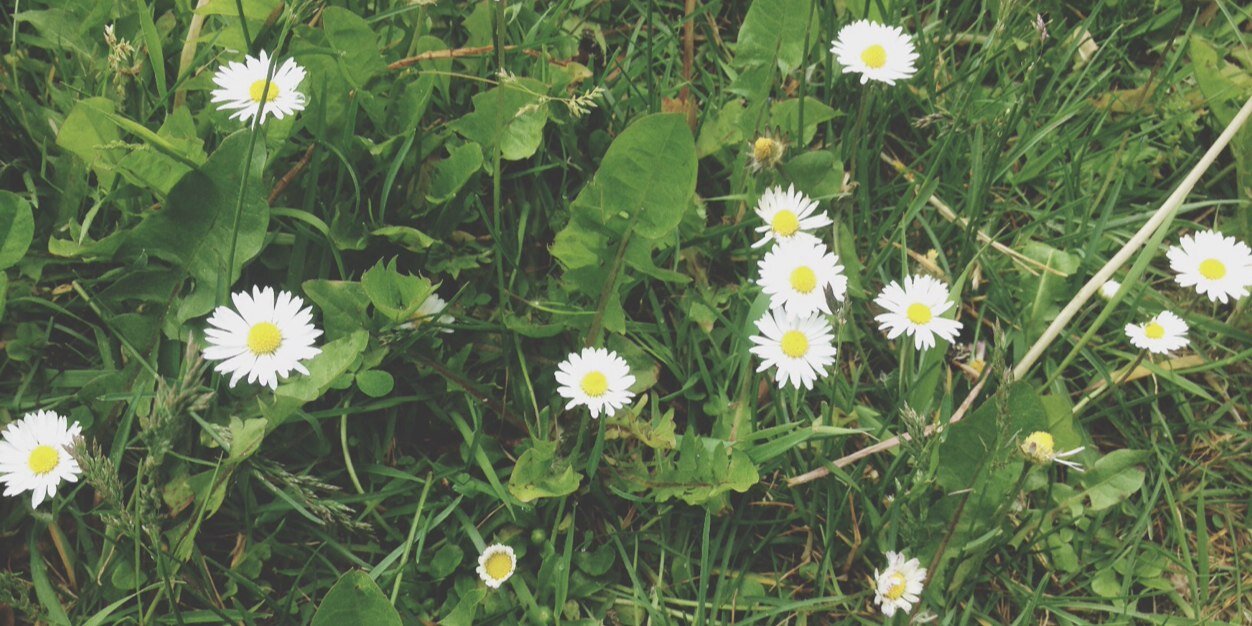 nxtxl's profile banner image