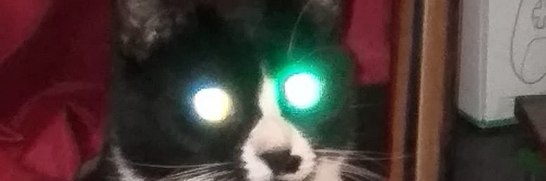 Ash_theflash's profile banner image