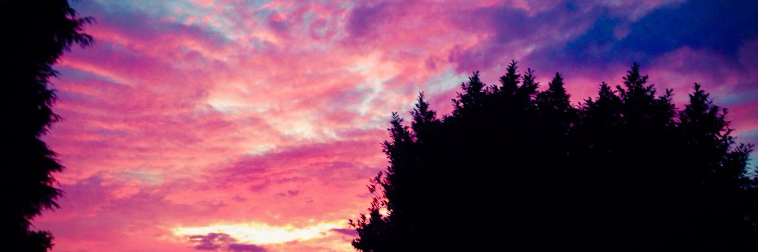 cheddarqueen's profile banner image
