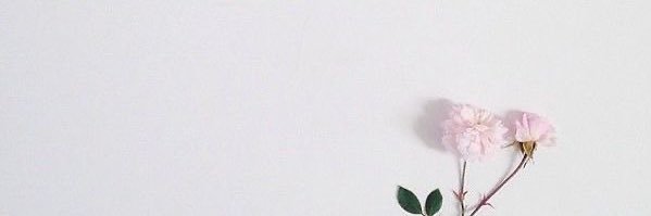 swttparfait's profile banner image