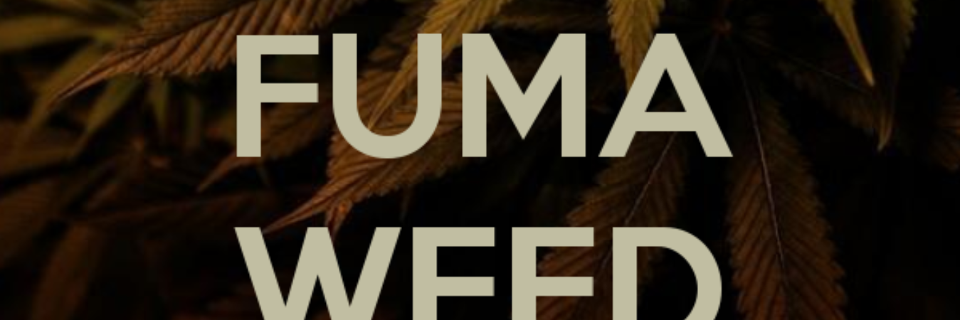 ZWasterz's profile banner image