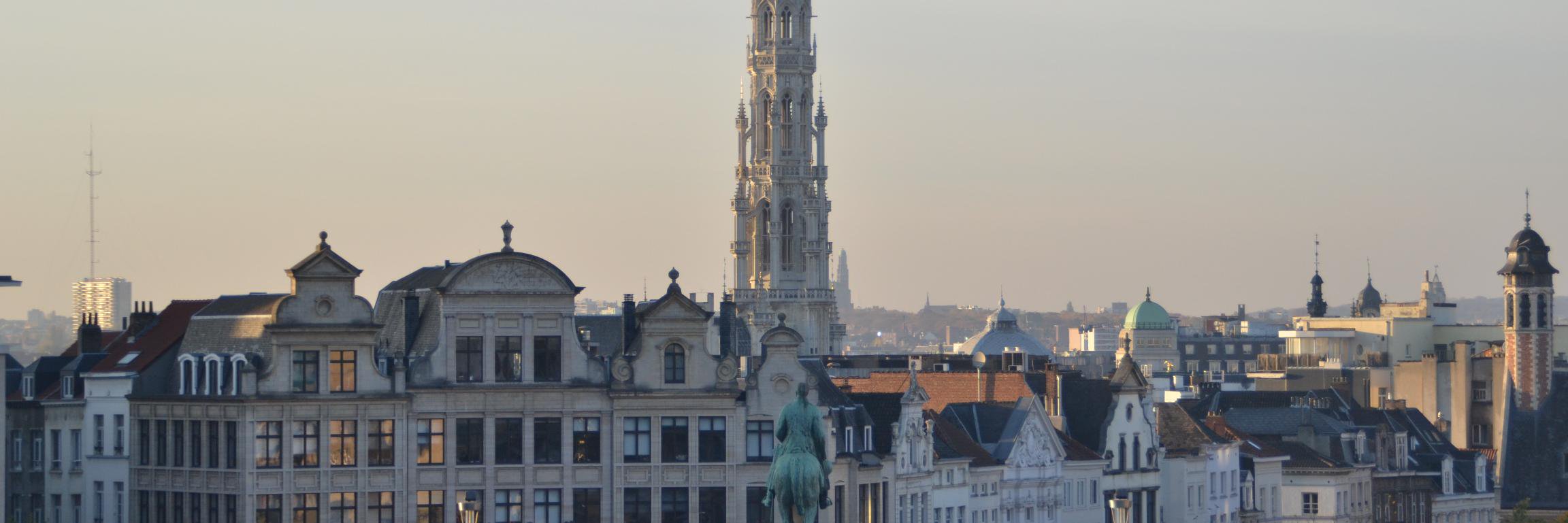 Edgar Mata Roca banner