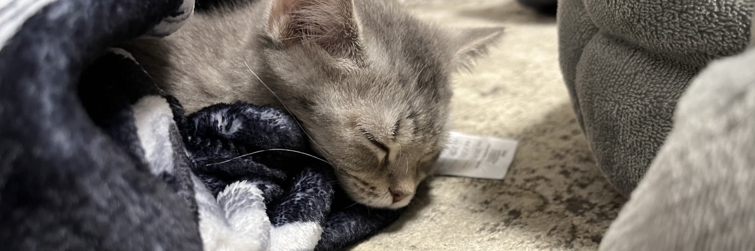 GAMI_fps/Twitch #のーぴこぴこ banner