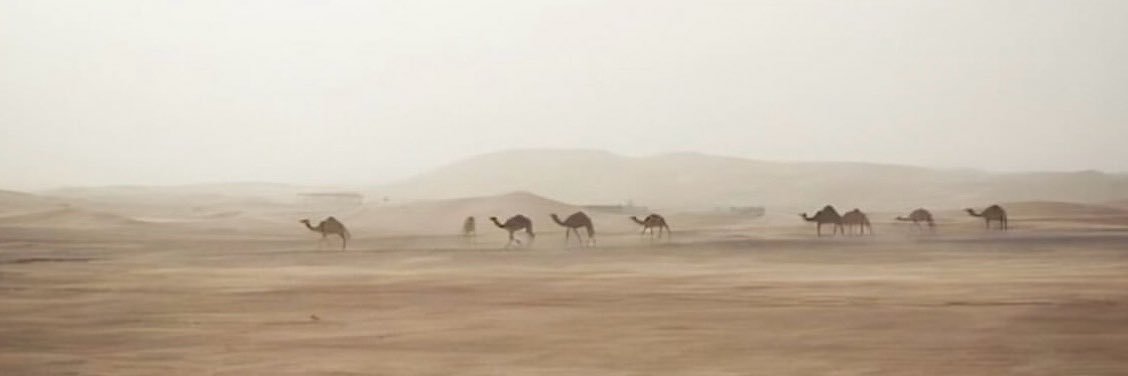 ُ banner