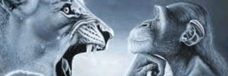 jthapothead's profile banner image
