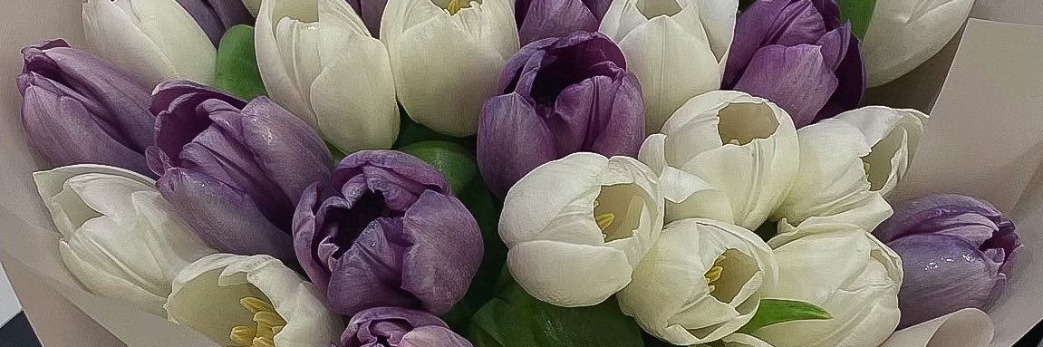 سحر ☁️💜 banner