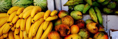 Maria Maynard banner