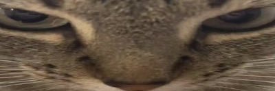average social media user🔞 banner
