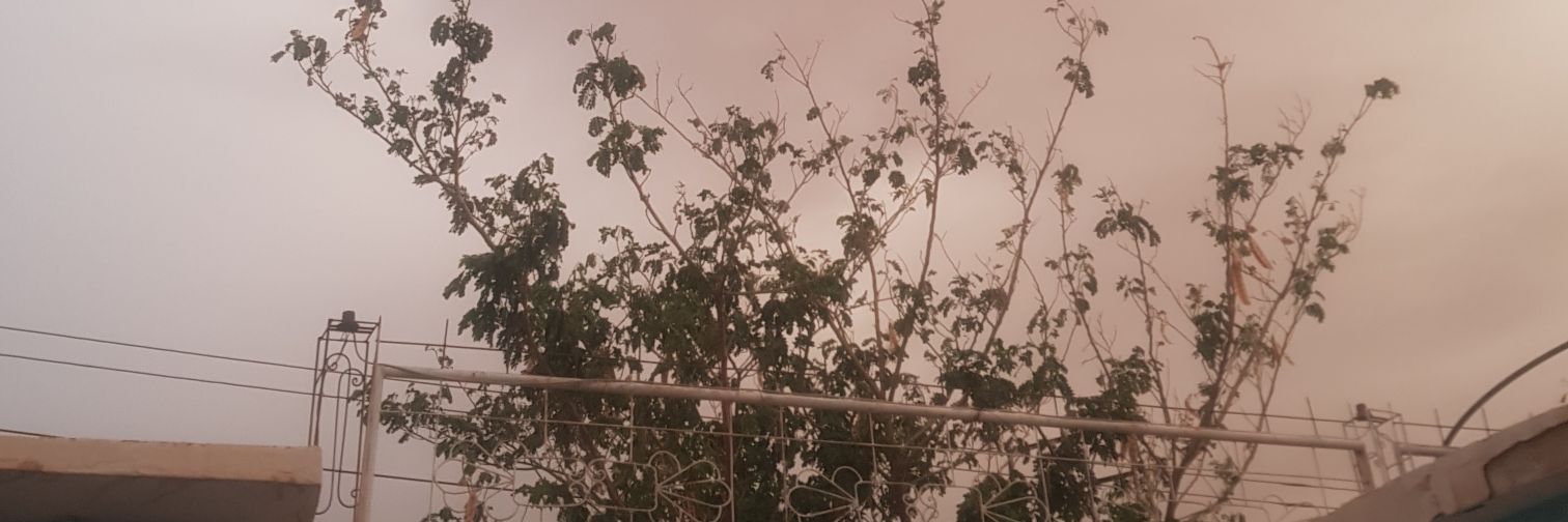 abdo 🇸🇩🇸🇩🇸🇩's banner