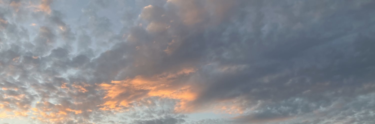 sktn0529's profile banner image