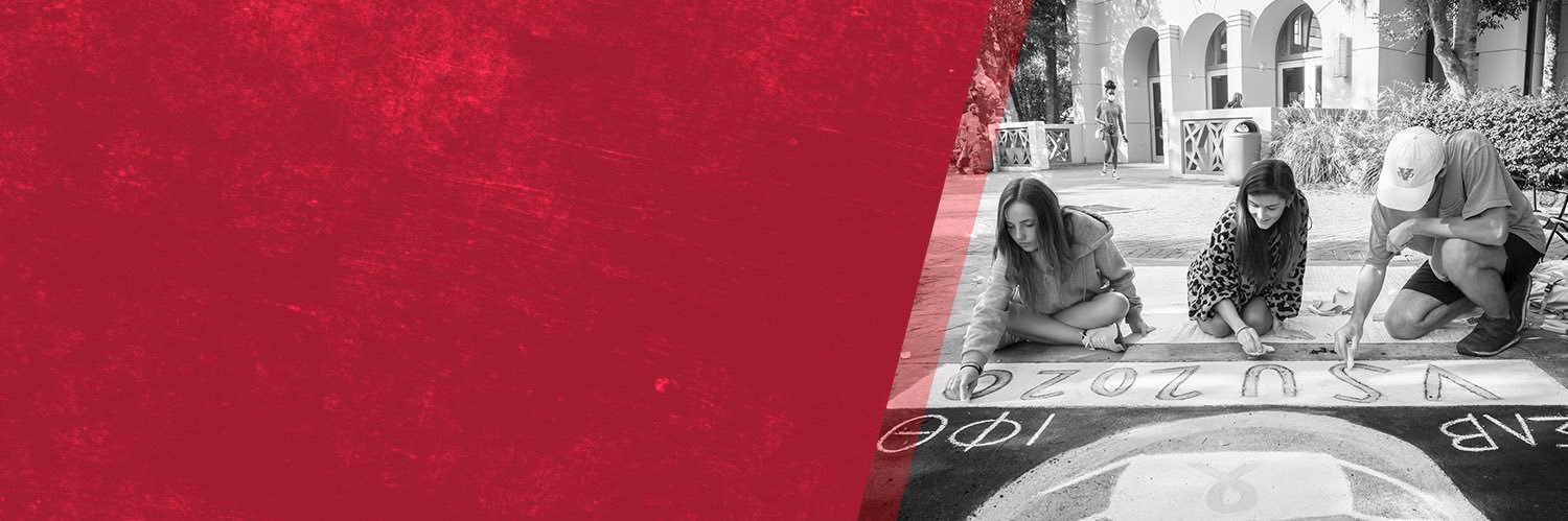 CABVSU's profile banner image
