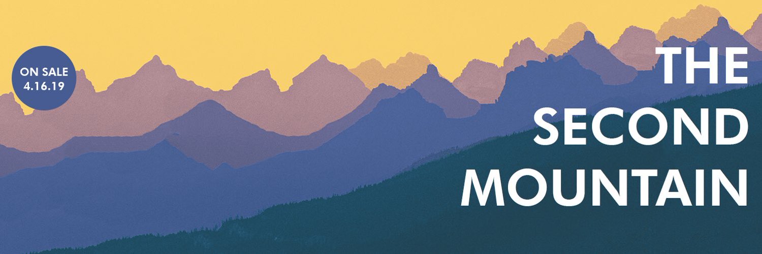 DavidBrooksNYTofficial banner