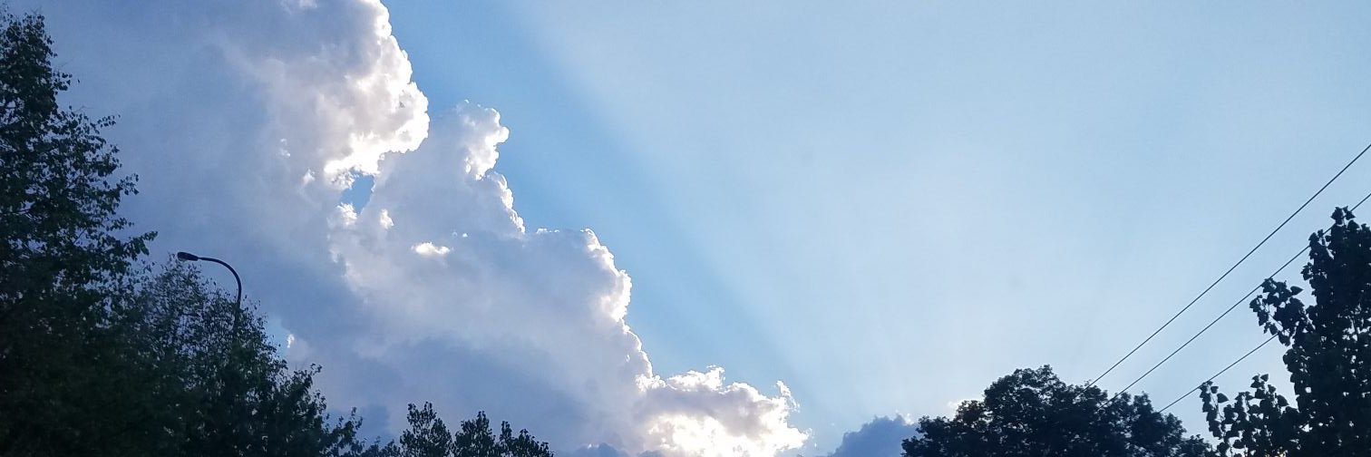 baer465's profile banner image