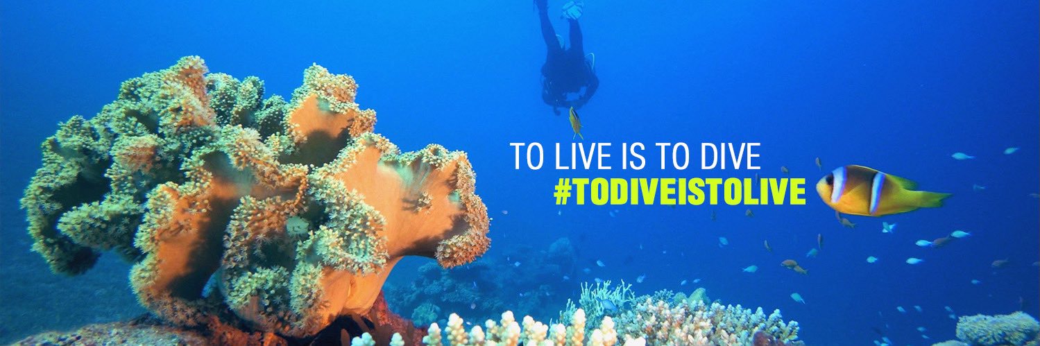 scubaevolution's profile banner image