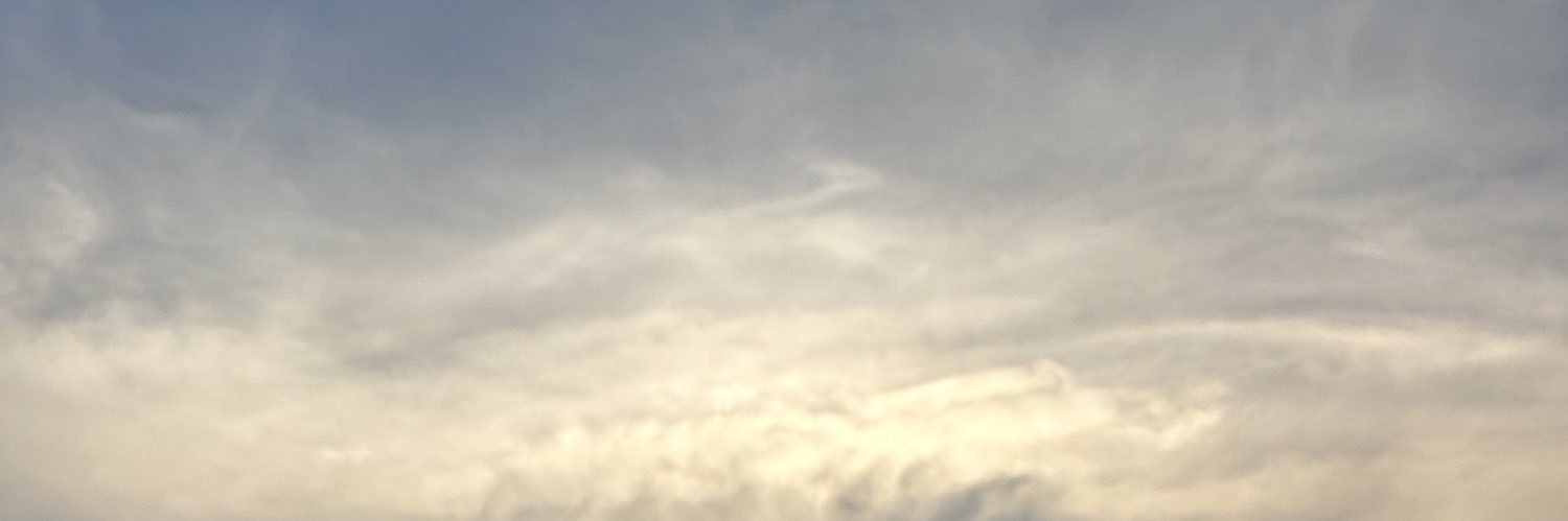 maewrickiyiyiyi banner