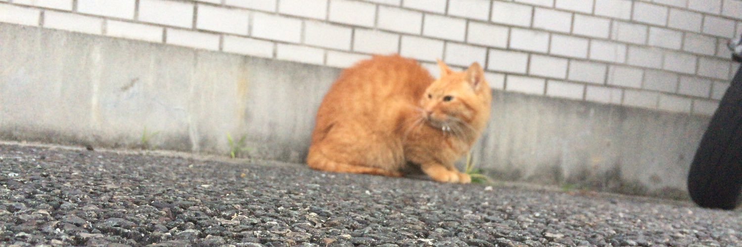 higashi_84's profile banner image