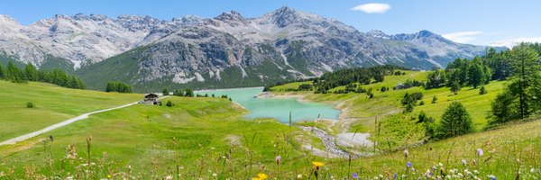 ValdidentroAV Profile Banner