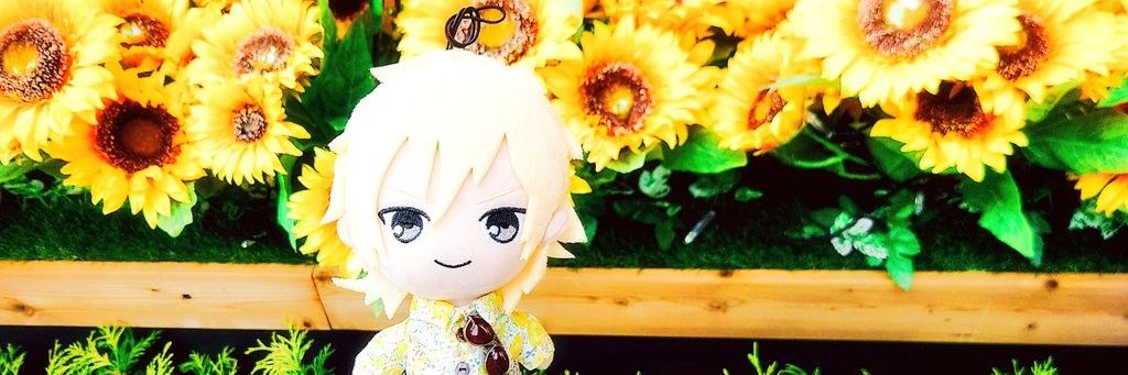 みかん banner