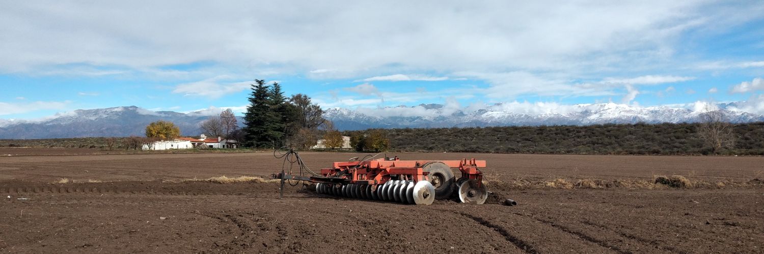 Norberto Páez banner