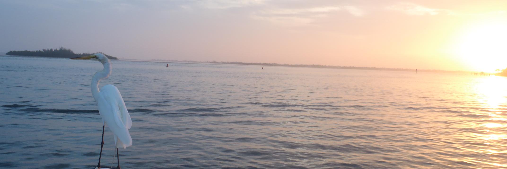 WIDTTF's profile banner image