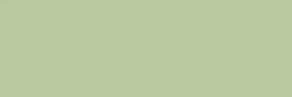 olive Profile Banner