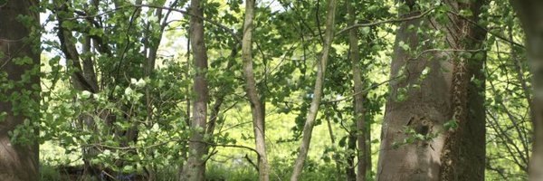 LanercostCofEng Profile Banner