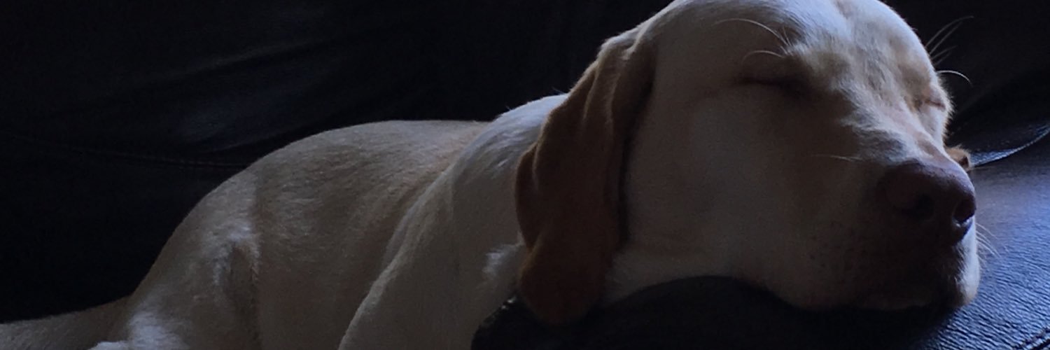 masonfischer111's profile banner image