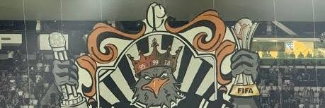 🚩🇨🇳🇵🇸🇨🇺🇻🇳🇮🇷🇰🇵🇧🇷🇻🇪🇷🇺🇮🇳🇳🇪 banner