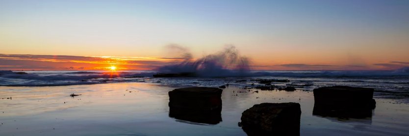 Sherry Steele banner