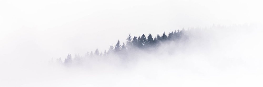 Amrujsai's profile banner image