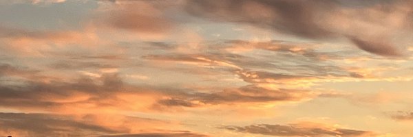 chw_reire Profile Banner