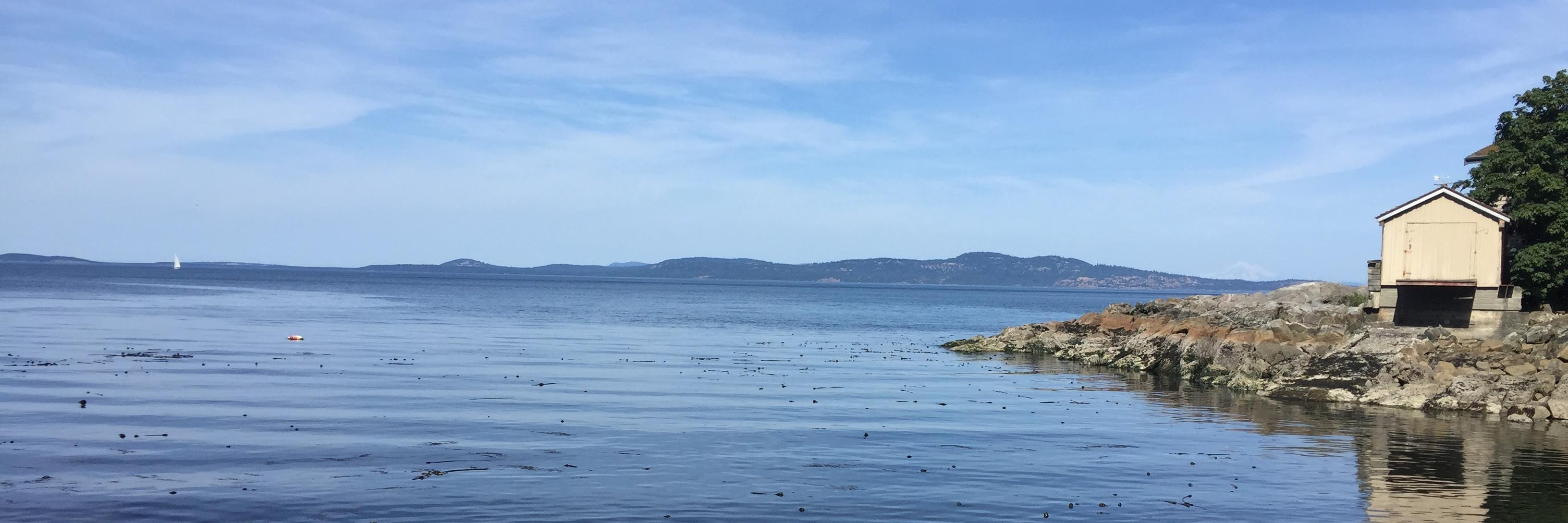 laurennicholas's profile banner image