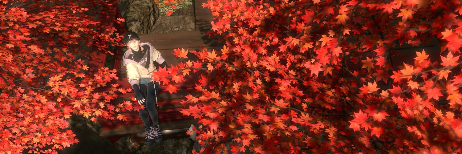 binaryleaf_FF14's profile banner image