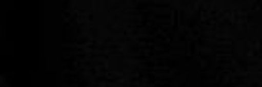 nikimori's profile banner image