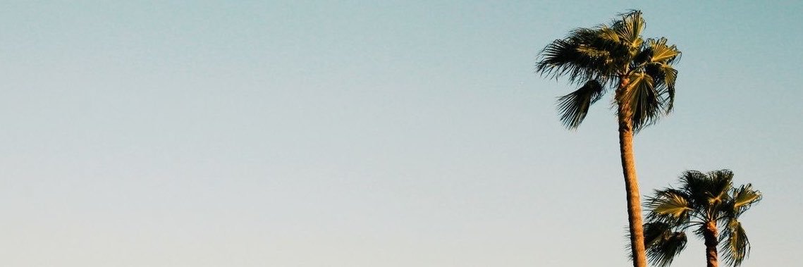 leova_9's profile banner image