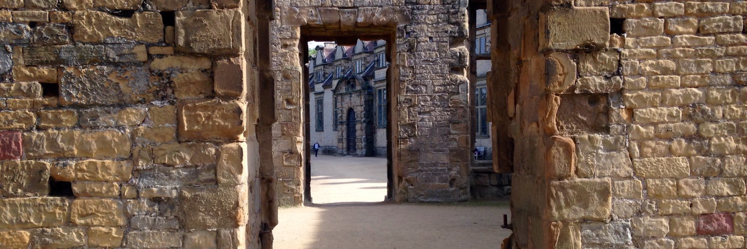 Alison McLaren banner