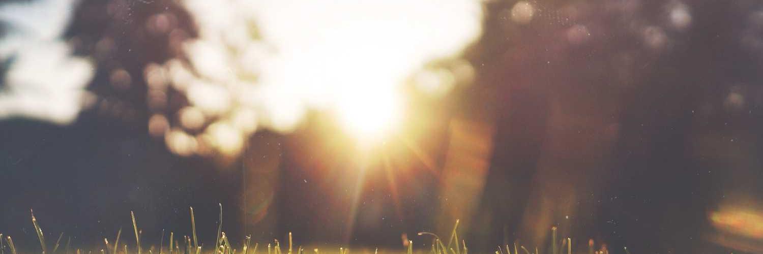 moks_venus's profile banner image